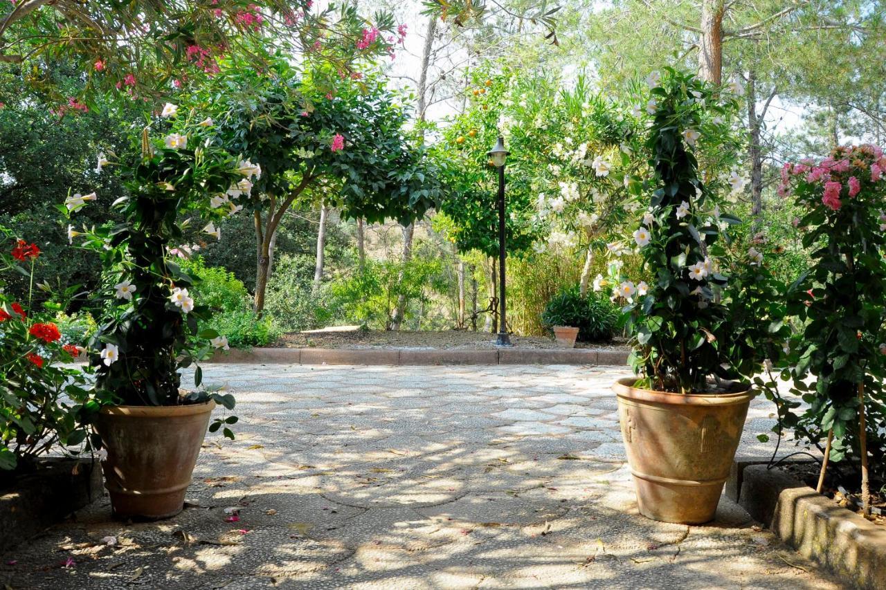 Agriresort Villa Bentivoglio Piazza Armerina Kültér fotó