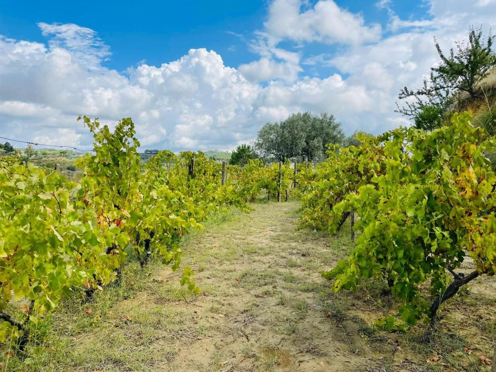 Agriresort Villa Bentivoglio Piazza Armerina Kültér fotó