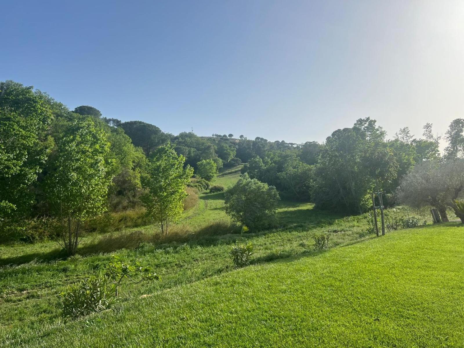 Agriresort Villa Bentivoglio Piazza Armerina Kültér fotó
