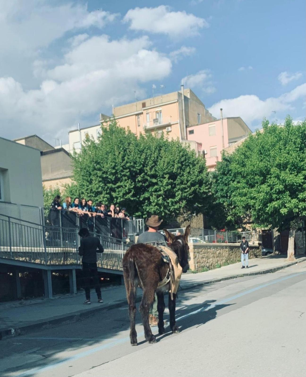 Agriresort Villa Bentivoglio Piazza Armerina Kültér fotó